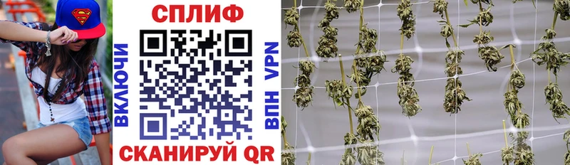 ГАШ Уфа