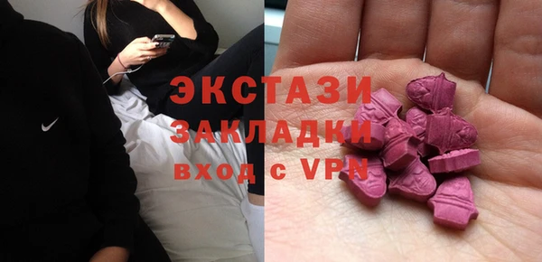 хмурый Абаза
