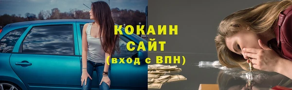 хмурый Абаза
