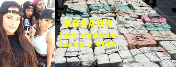 хмурый Абаза