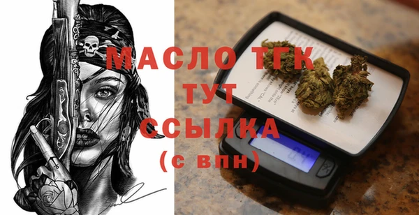 хмурый Абаза