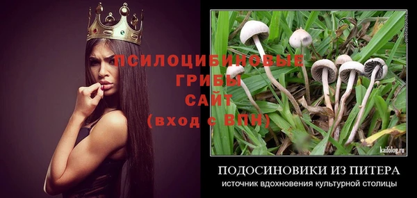 тгк Абдулино