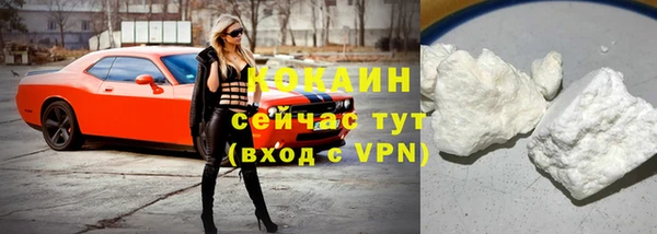 хмурый Абаза