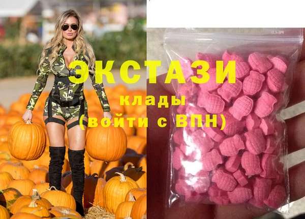 хмурый Абаза