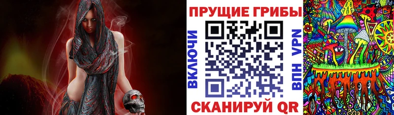это клад  Уфа  Галлюциногенные грибы Psilocybe 